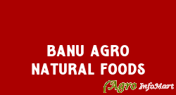 BANU AGRO NATURAL FOODS chennai india