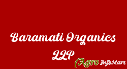 Baramati Organics LLP mumbai india