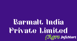 Barmalt India Private Limited
