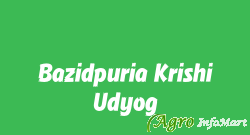Bazidpuria Krishi Udyog