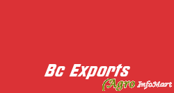 Bc Exports delhi india