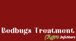 Bedbugs Treatment