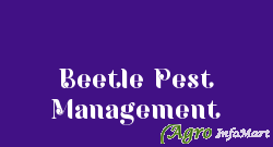 Beetle Pest Management ludhiana india