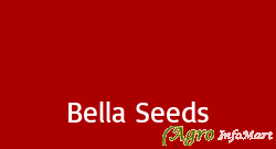 Bella Seeds nashik india