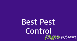 Best Pest Control chennai india