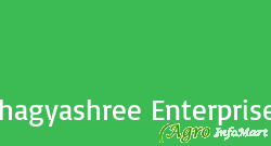 Bhagyashree Enterprises ahmednagar india