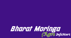 Bharat Moringa