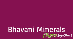 Bhavani Minerals bhavnagar india