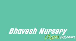 Bhavesh Nursery amravati india