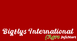 Bigflys International ahmedabad india