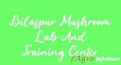Bilaspur Mushroom Lab And Training Center bilaspur india