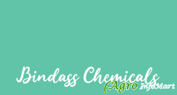 Bindass Chemicals delhi india
