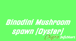 Binodini Mushroom spawn (Oyster)  