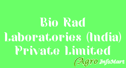 Bio Rad Laboratories (India) Private Limited hyderabad india