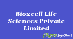 Bioxcell Life Sciences Private Limited hyderabad india