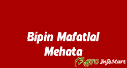 Bipin Mafatlal Mehata