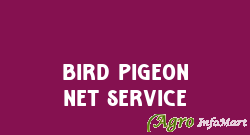 Bird Pigeon Net Service