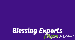 Blessing Exports chennai india