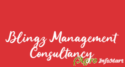 Blingz Management Consultancy bangalore india