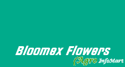 Bloomex Flowers