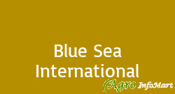Blue Sea International