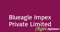 Blueagle Impex Private Limited bangalore india