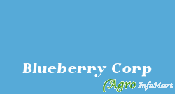 Blueberry Corp