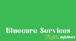 Bluecare Services pune india
