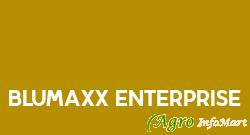 BluMaxx Enterprise indore india