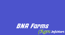 BNA Farms