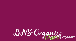 BNS Organics