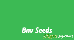Bnv Seeds