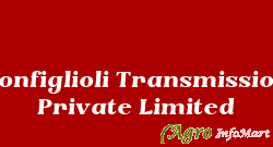 Bonfiglioli Transmission Private Limited