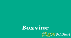 Boxvine