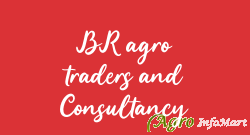 BR agro traders and Consultancy