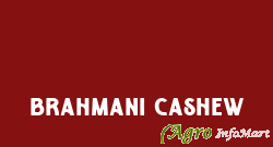 Brahmani Cashew ahmedabad india