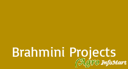 Brahmini Projects