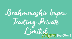 Brahmmashiv Impex Trading Private Limited