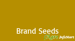 Brand Seeds