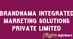 Brandnama Integrated Marketing Solutions Private Limited delhi india