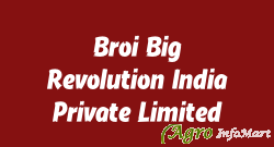 Broi Big Revolution India Private Limited