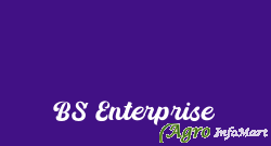 BS Enterprise kolkata india