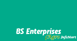 BS Enterprises delhi india