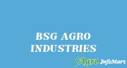 BSG AGRO INDUSTRIES ludhiana india