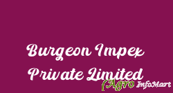 Burgeon Impex Private Limited chennai india