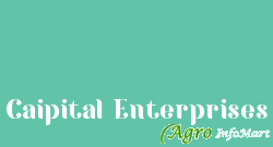 Caipital Enterprises delhi india