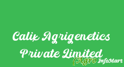 Calix Agrigenetics Private Limited jaipur india