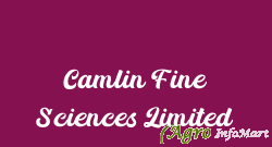 Camlin Fine Sciences Limited mumbai india
