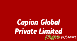 Capion Global Private Limited surat india
