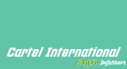Cartel International ankleshwar india